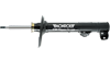 MONROE SHOCKS & STRUTS: OES Strut